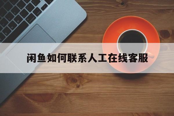 闲鱼如何联系人工在线客服